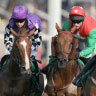 2 hourses racing