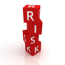 Risk Dice