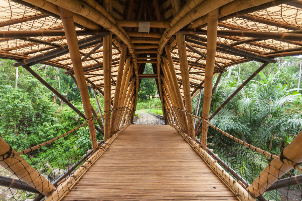 traditional roof curved